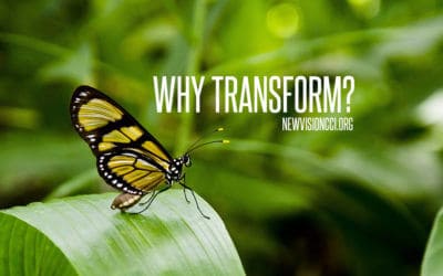 Why Transform?