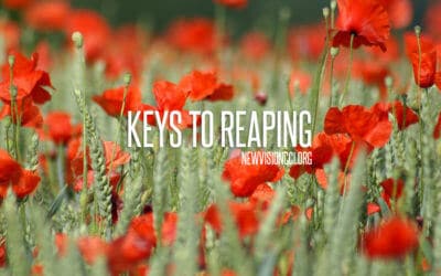 Keys to Reaping