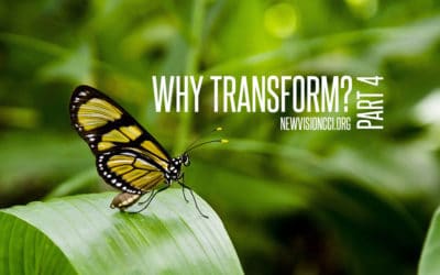 Why Transform? Part 4