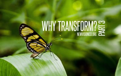Why Transform? Part 3