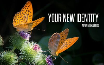 Your New Identity